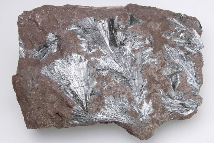 Metallic, Needle-Like Pyrolusite Crystals - Morocco #204356